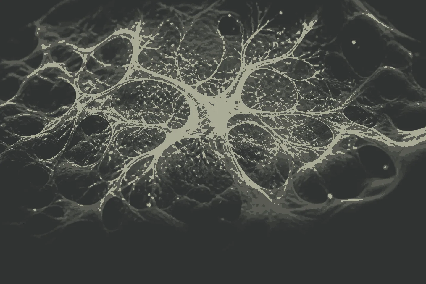 Two-tone cellular network emerging through a dark biological field